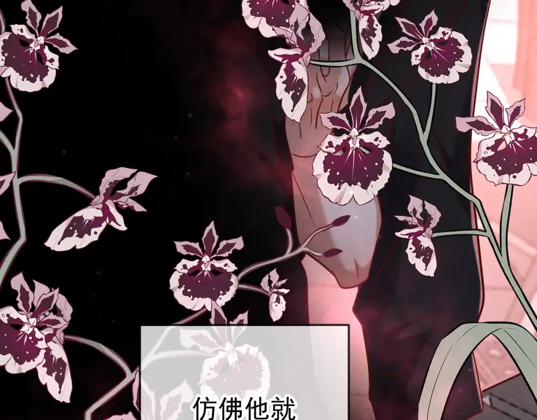 第54话 血色文心兰 第47页