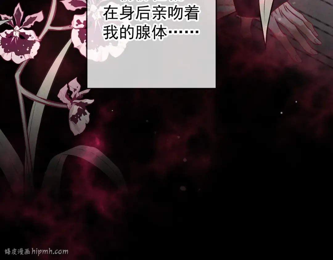 第54话 血色文心兰 第48页