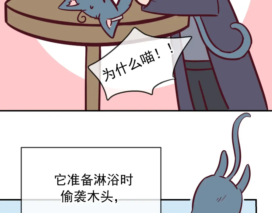 Q版小剧场 莱伊变猫猫的一天 第7页