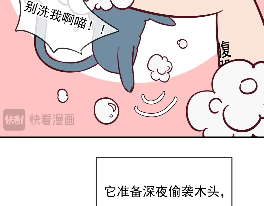Q版小剧场 莱伊变猫猫的一天 第11页
