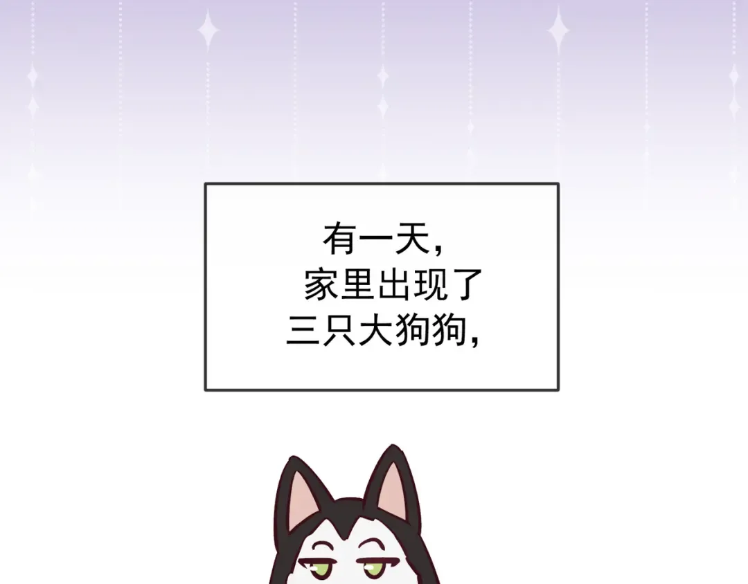 Q版小剧场 谁家的狗狗？ 第2页