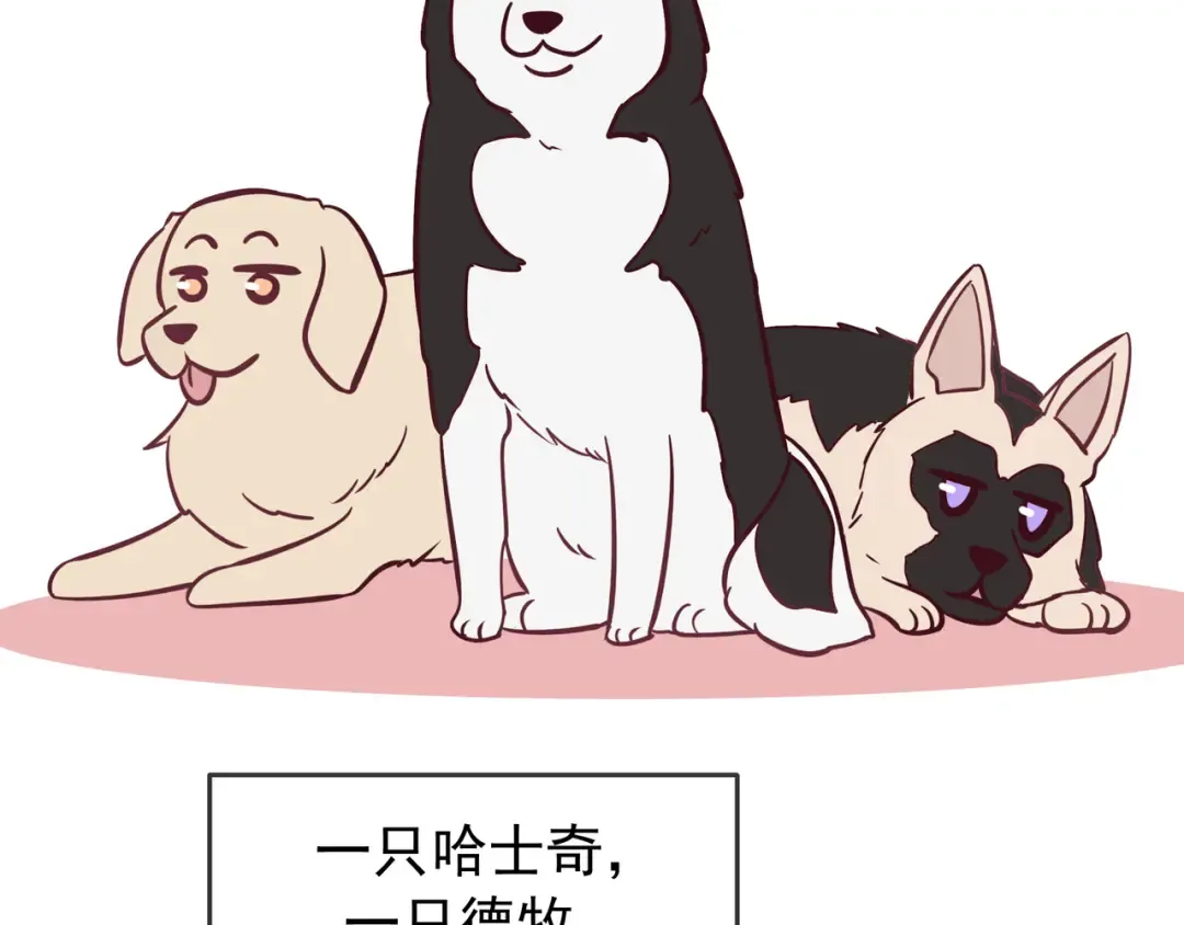 Q版小剧场 谁家的狗狗？ 第3页