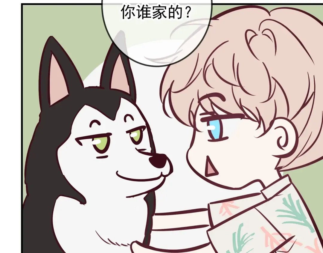 Q版小剧场 谁家的狗狗？ 第6页