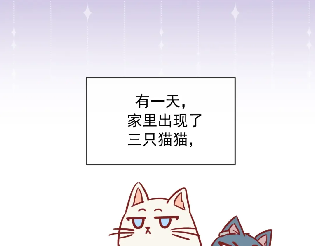 Q版小剧场 这是我家的猫猫 第2页