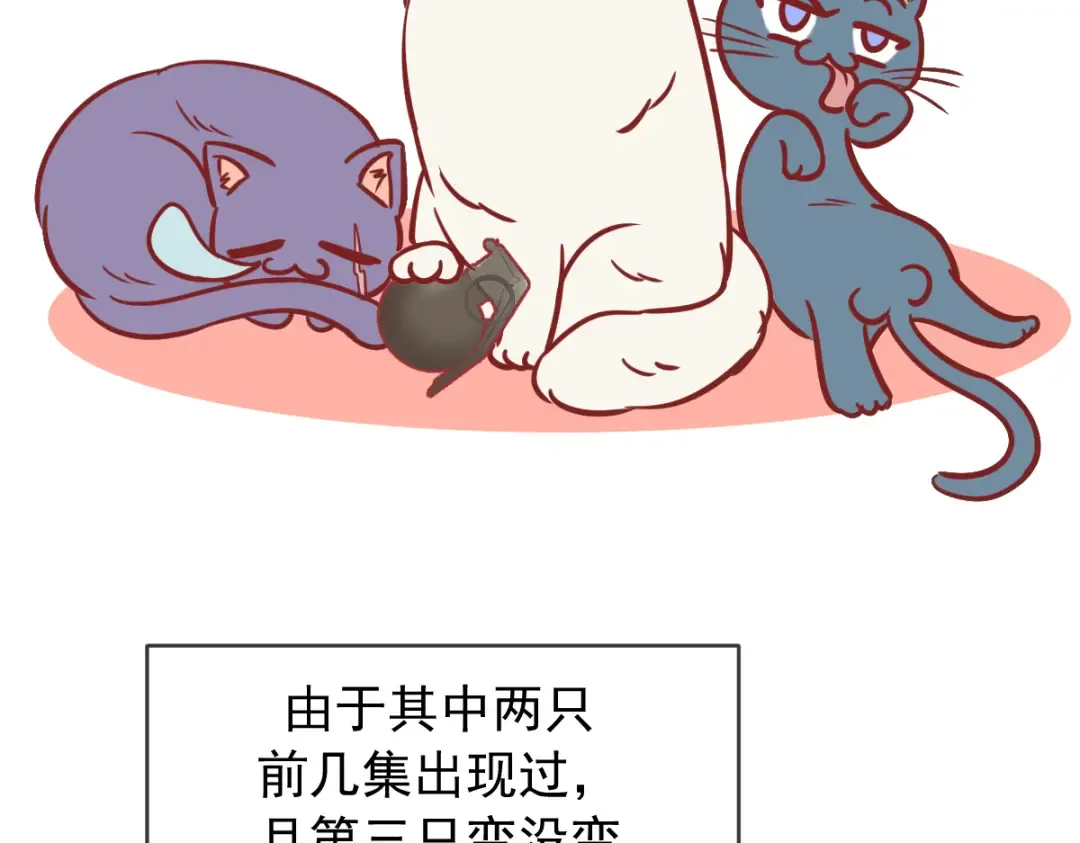 Q版小剧场 这是我家的猫猫 第3页