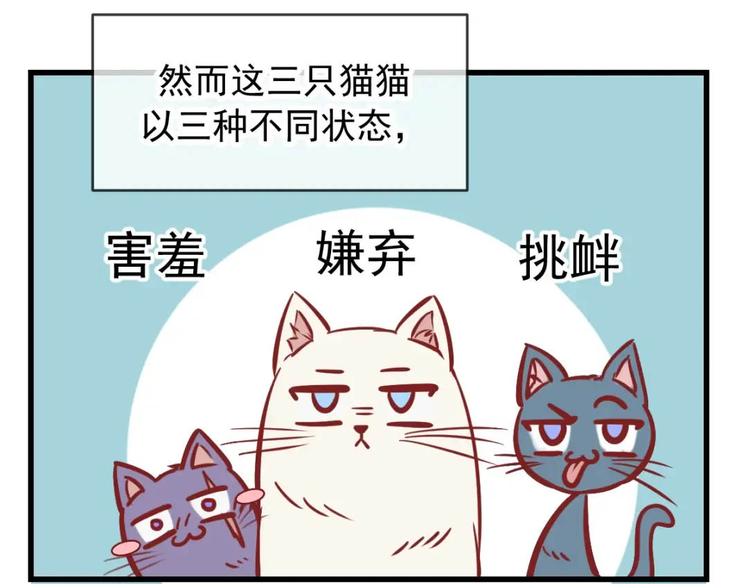 Q版小剧场 这是我家的猫猫 第7页