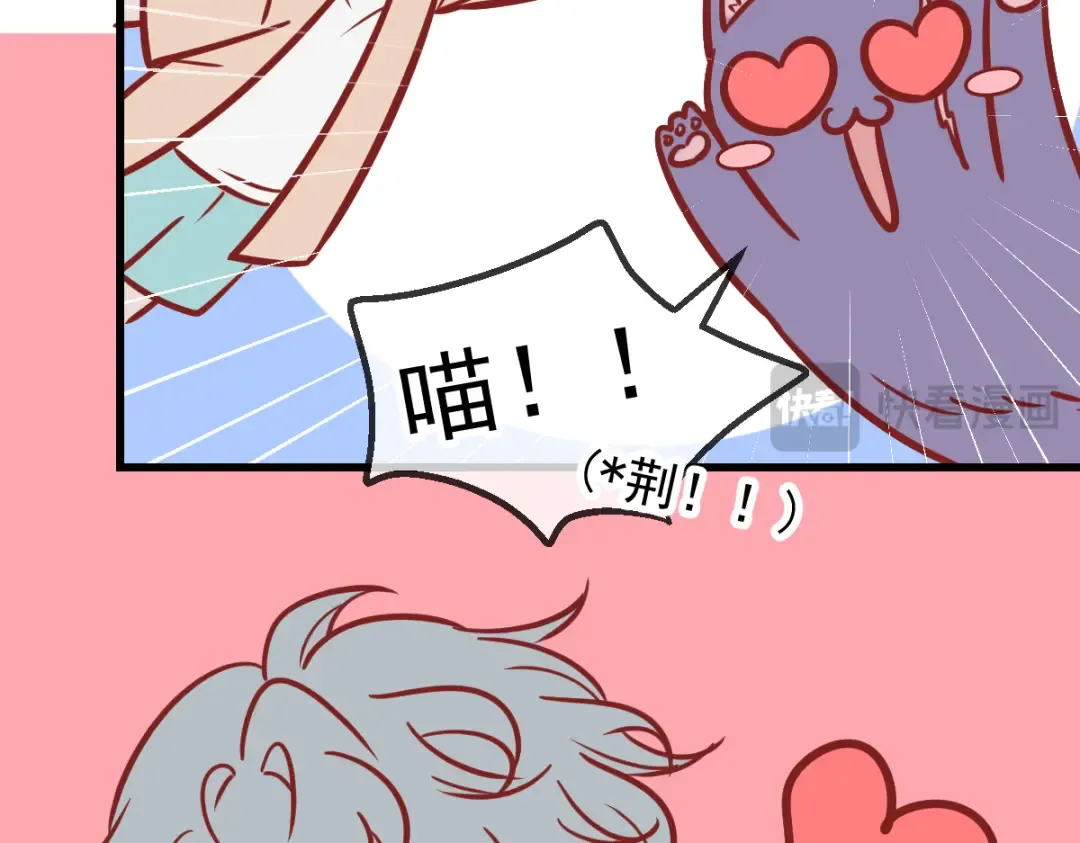 Q版小剧场 这是我家的猫猫 第11页
