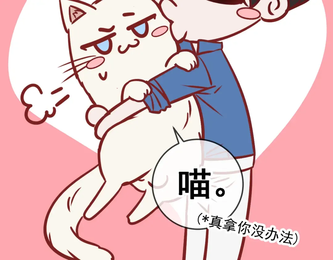 Q版小剧场 这是我家的猫猫 第26页