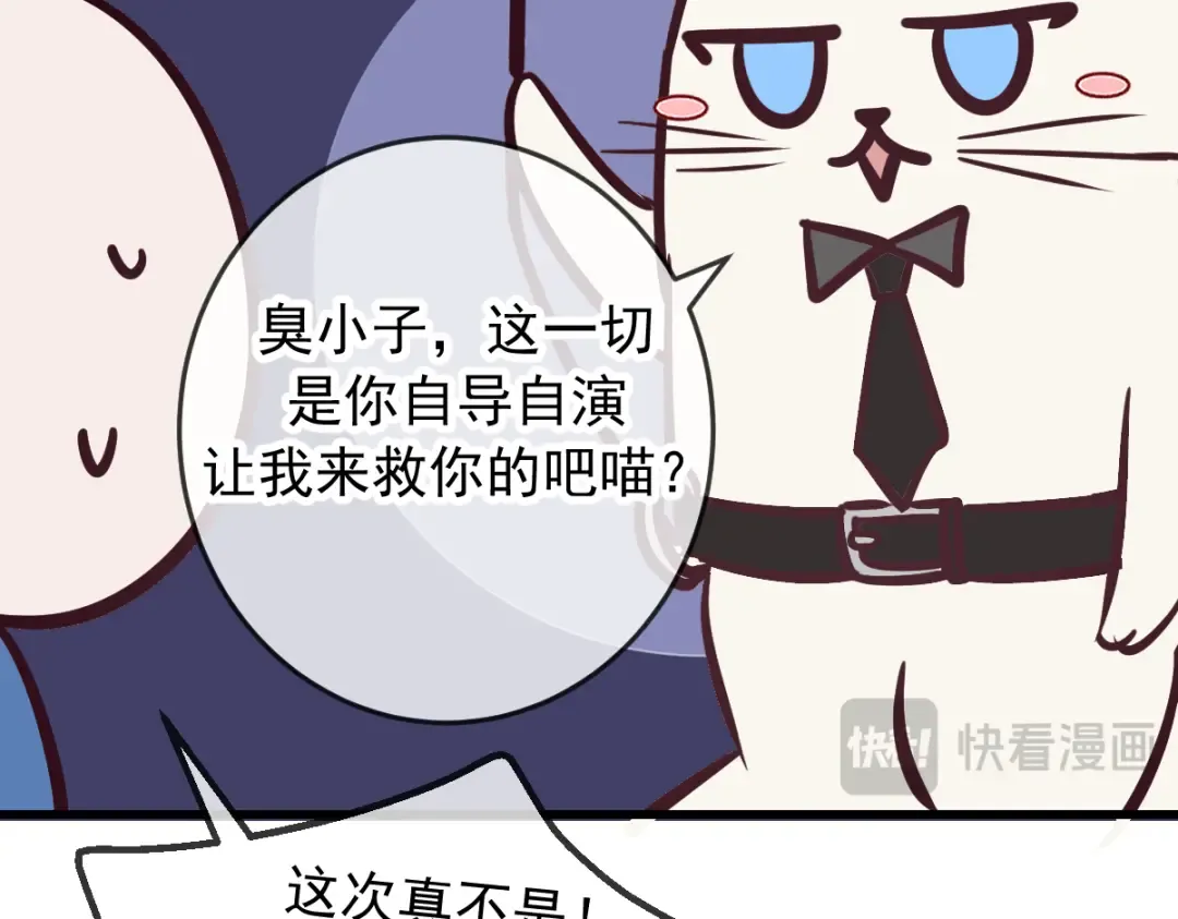 Q版小剧场 猫猫特工队！ 第20页