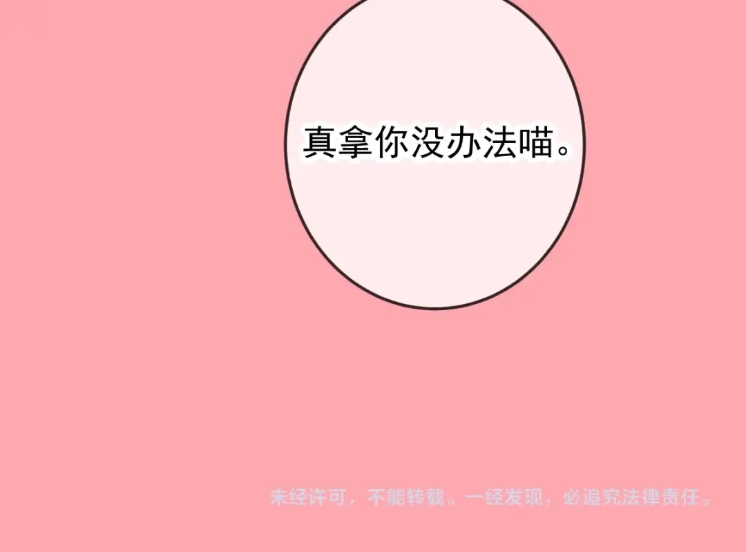 Q版小剧场 猫猫特工队！ 第29页