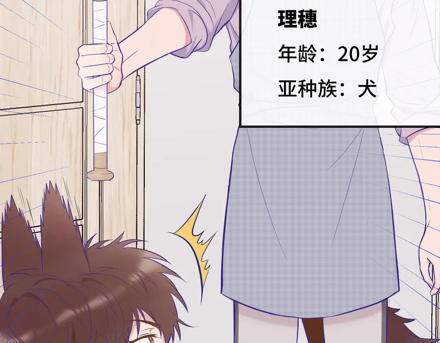 第1话 我是狼哦！ 第39页