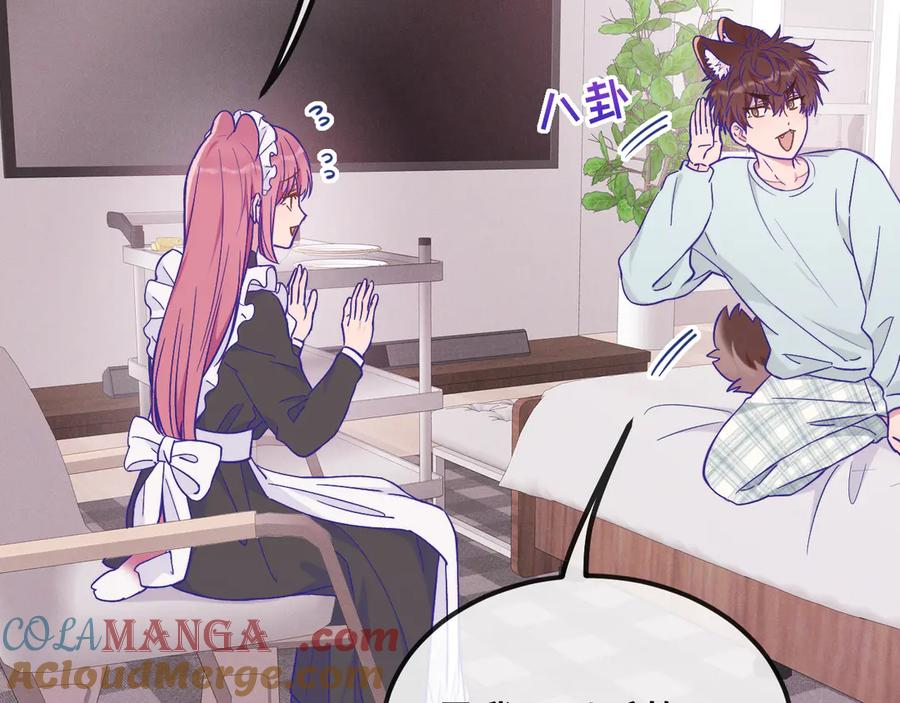 第36话 不要同情有狗瘾的人！ 第13页