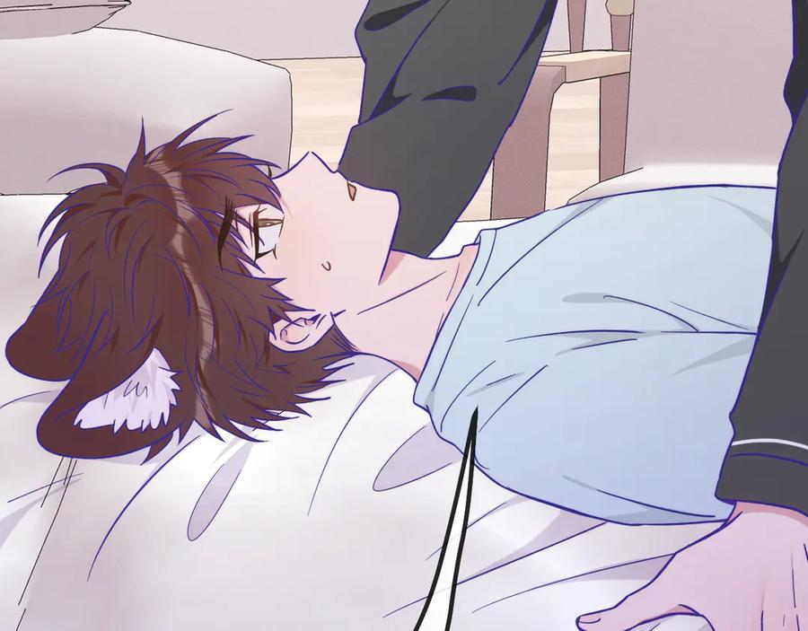 第36话 不要同情有狗瘾的人！ 第67页