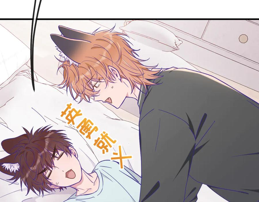 第36话 不要同情有狗瘾的人！ 第70页