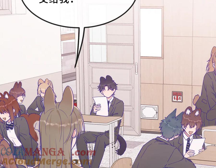 第42话 狐狐是第一名！ 第5页