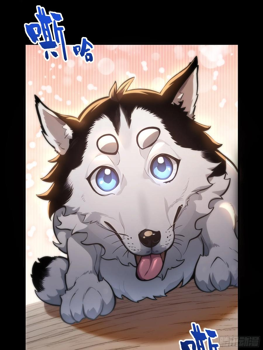 新作预告 第8页