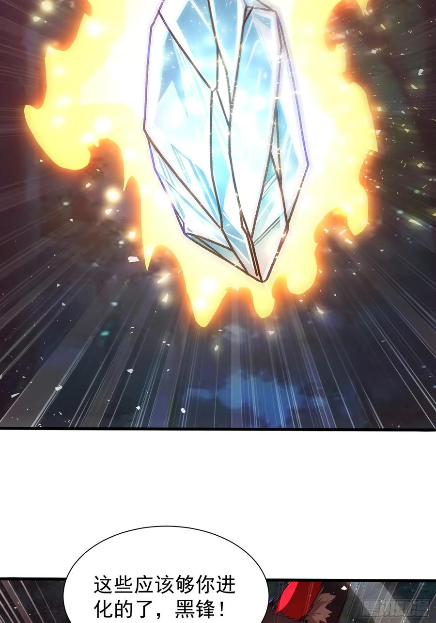 27 黑锋进化 第29页