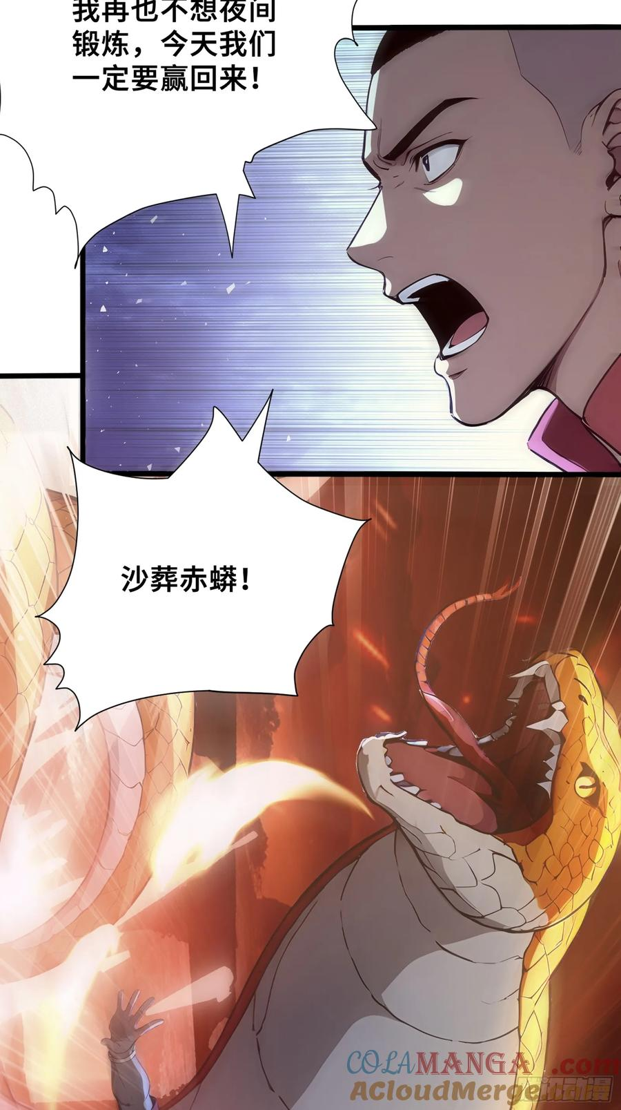 39 团队战，青龙VS 白虎 第13页