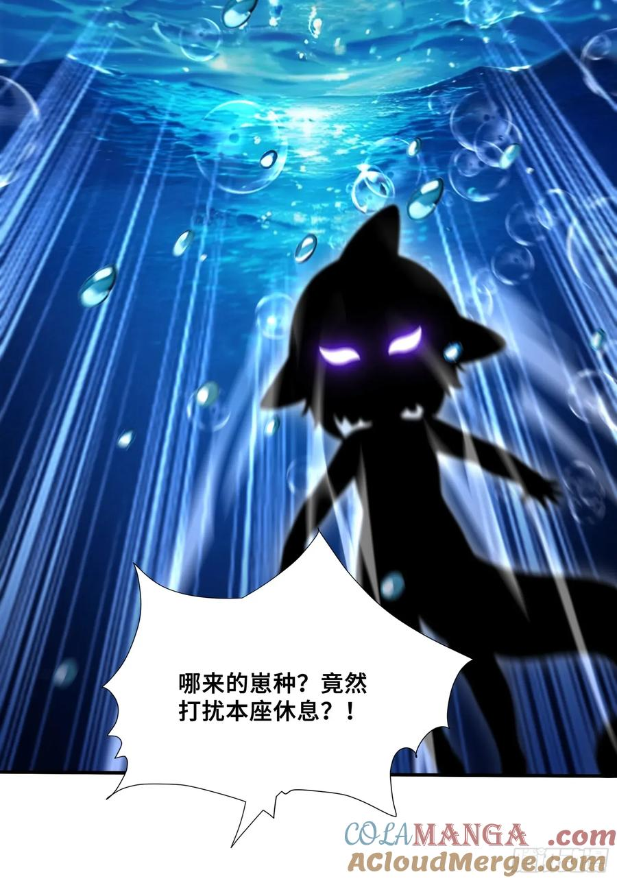 55 这条鱼，适合当主播 第11页