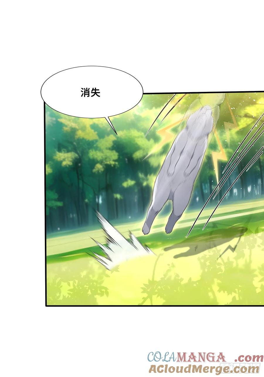 56 变异电耳兔 第5页