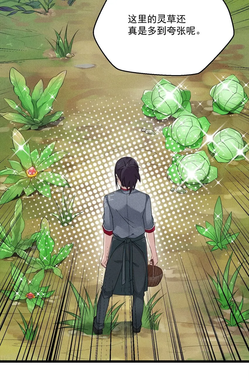 005 灵草园 第41页