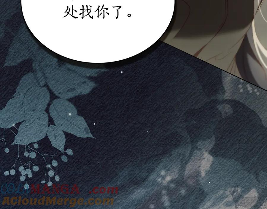 第35话 举办庆典 第133页