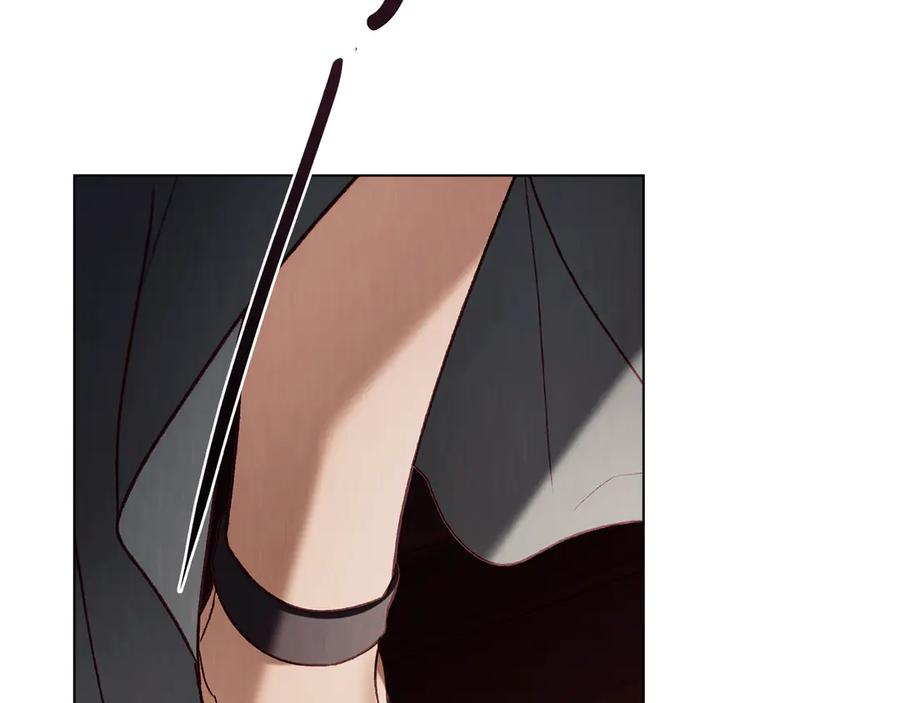 第43话 拍卖 第27页