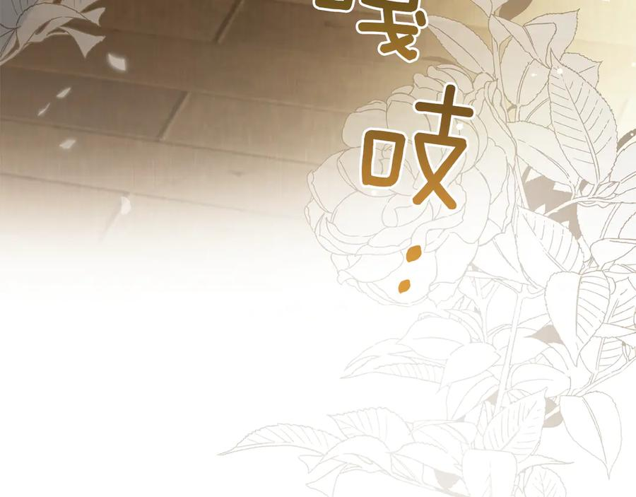 第44话 不悔的选择 第144页