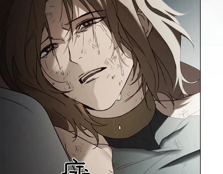 第48话 菲恩 第119页