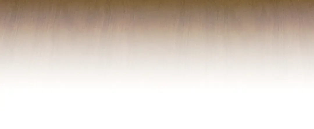 第21话 博弈 第29页