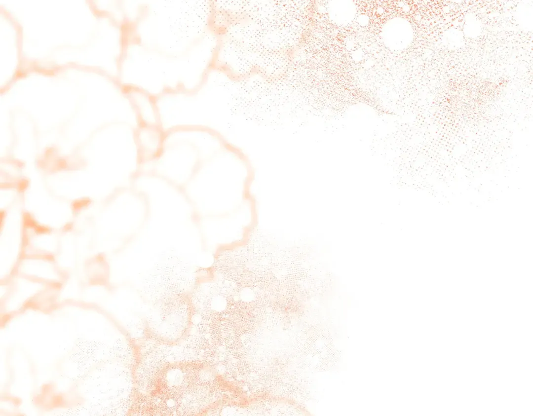 第一季完结篇 皇太子出面 第149页