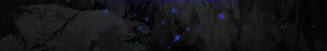 第十四话 突发状况 第169页