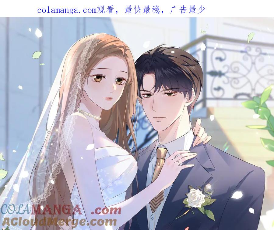 3.总裁护妻 第1页