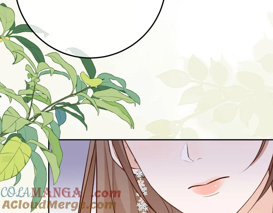 15.区别对待 第81页
