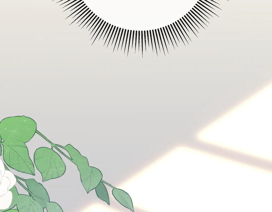 31.巧合 第104页
