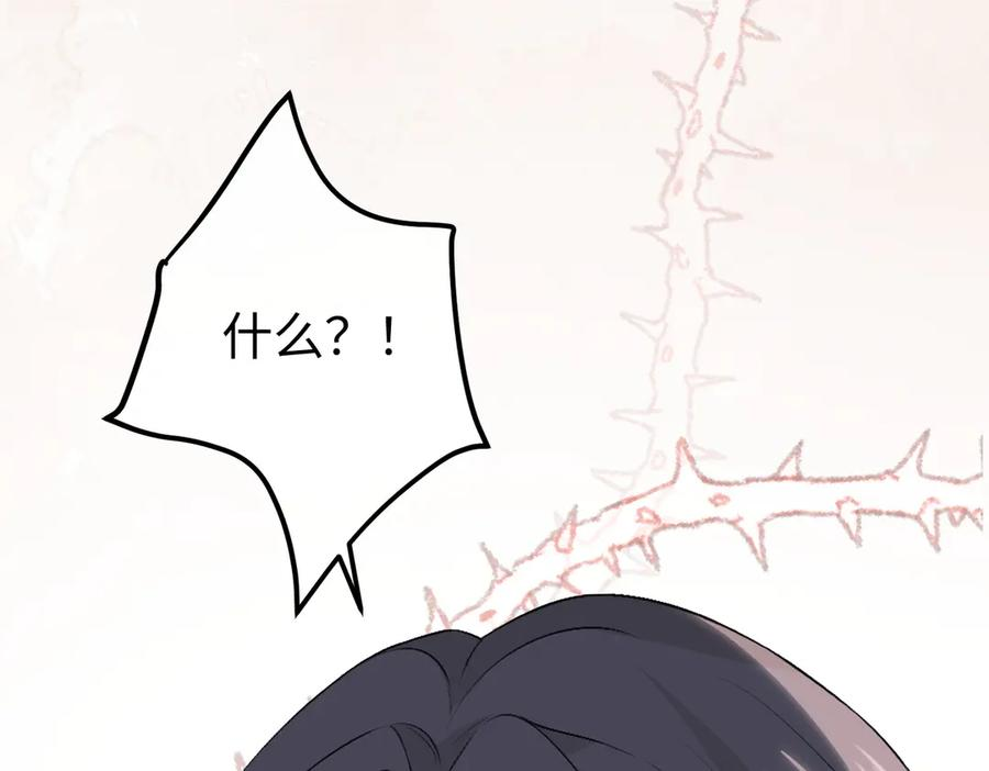 42.寿宴 第67页