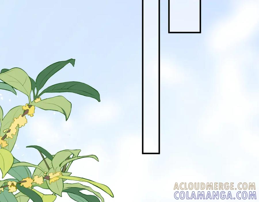68.计划 第97页