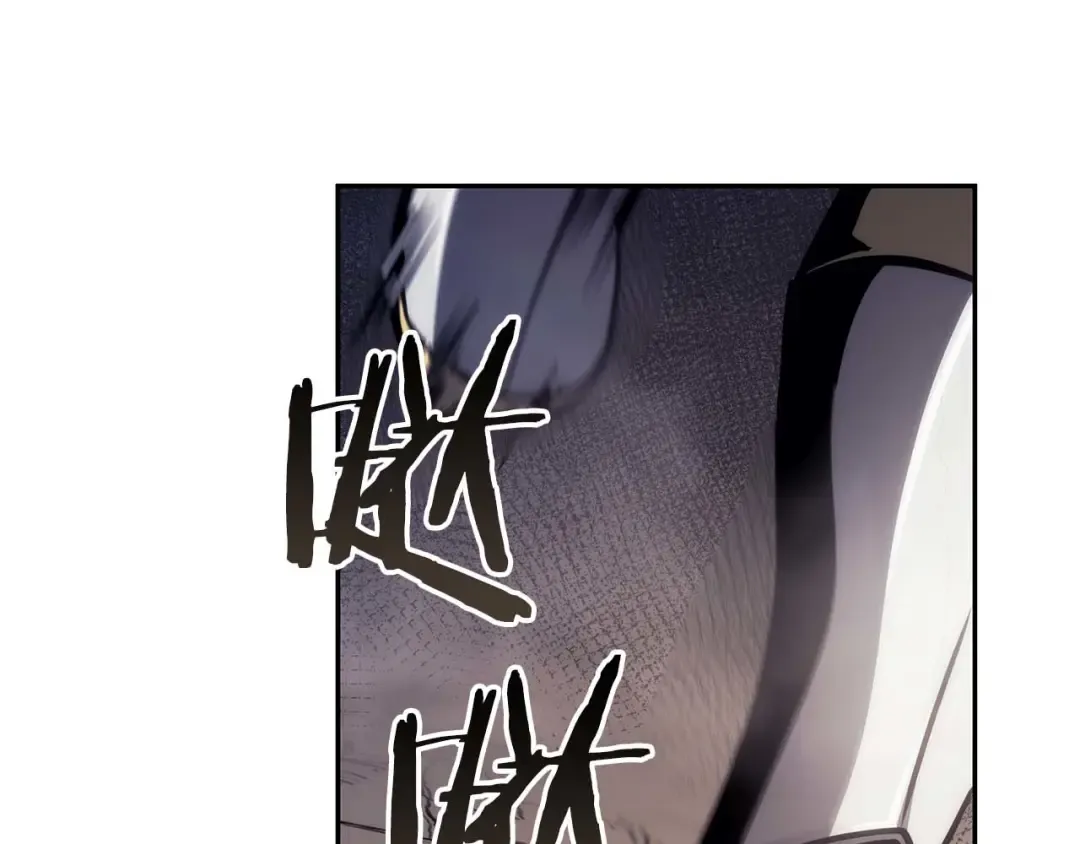 第13话 不自量力的家伙 第246页