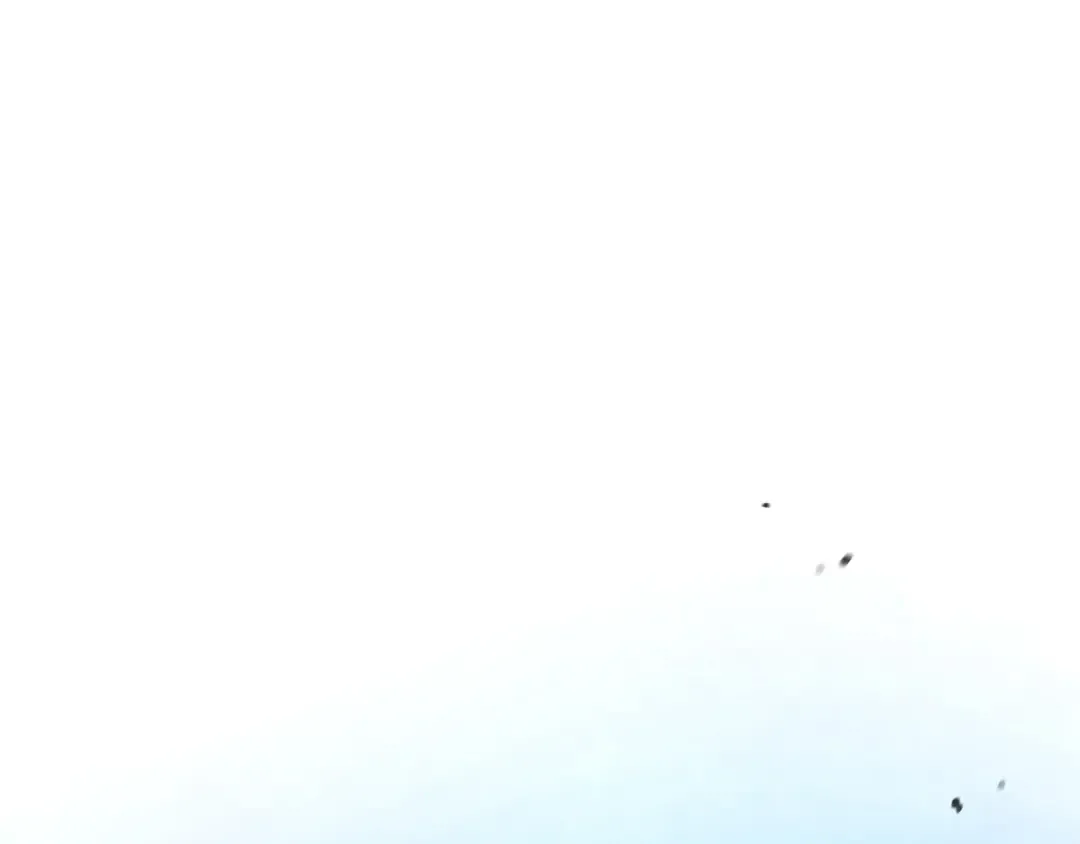 第68话 爬比跑的还要快 第5页