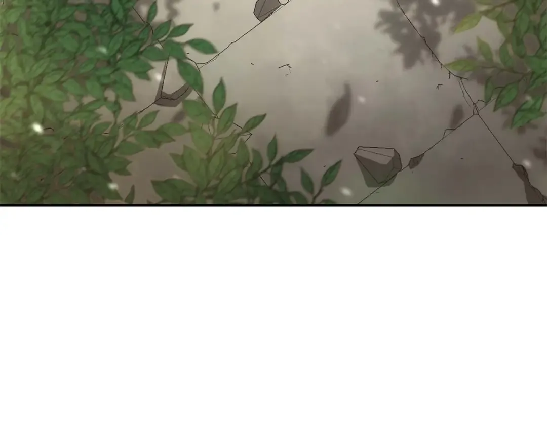第85话 英灵的试炼 第207页