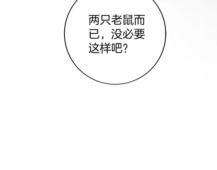第23话 白鼠之死 第250页