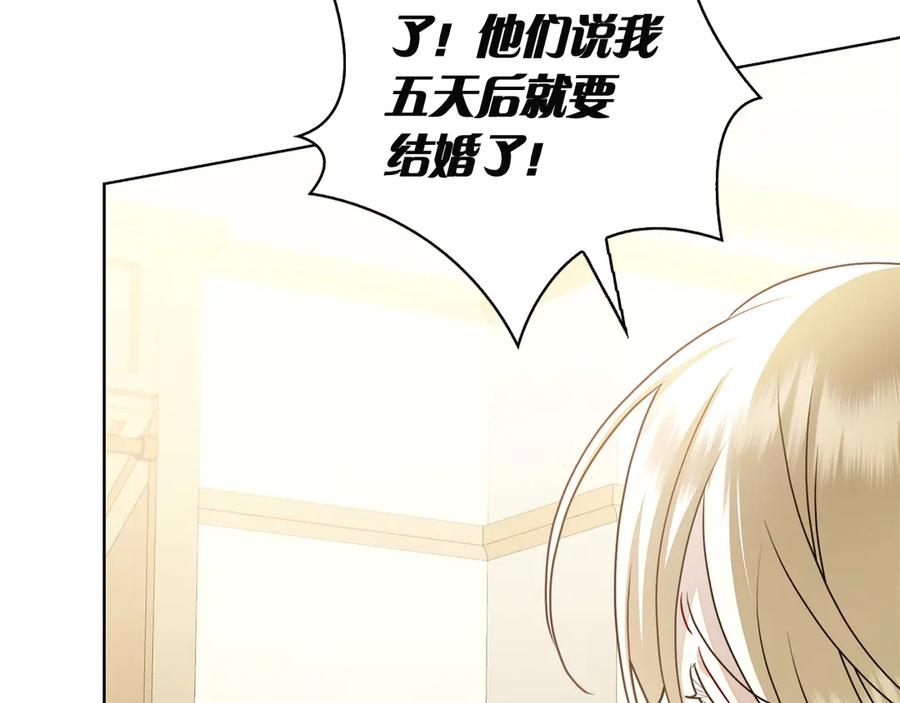 第1话 嫁给超级大帅哥 第151页