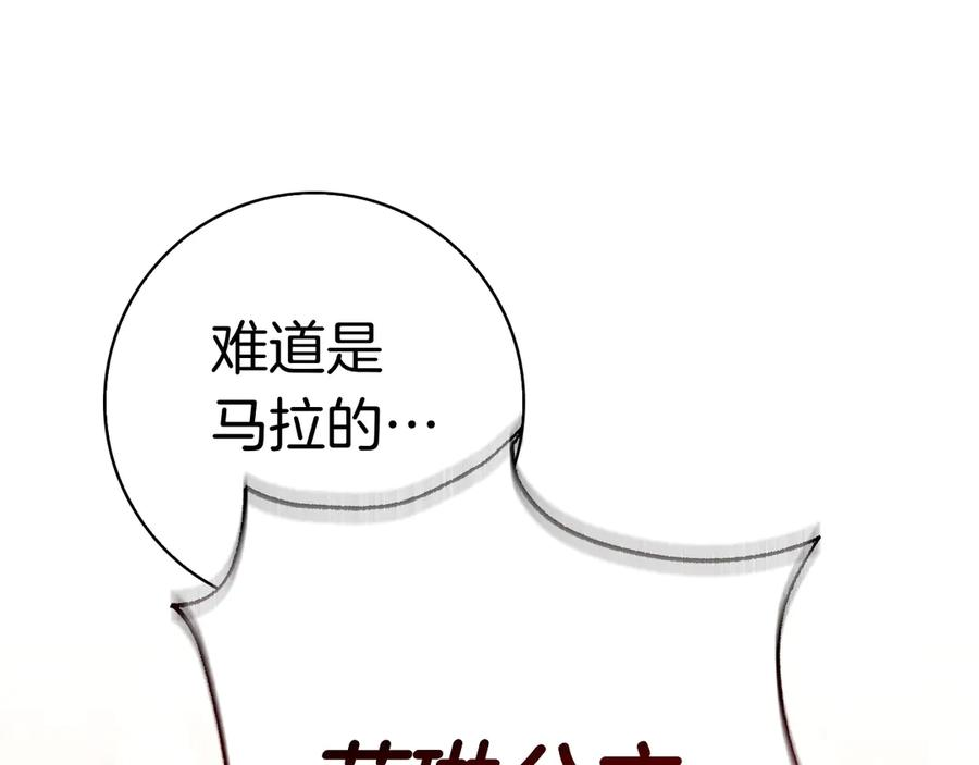 第16话 拜访马拉城 第223页