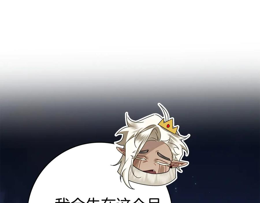 第17话 王妃殿下？ 第208页