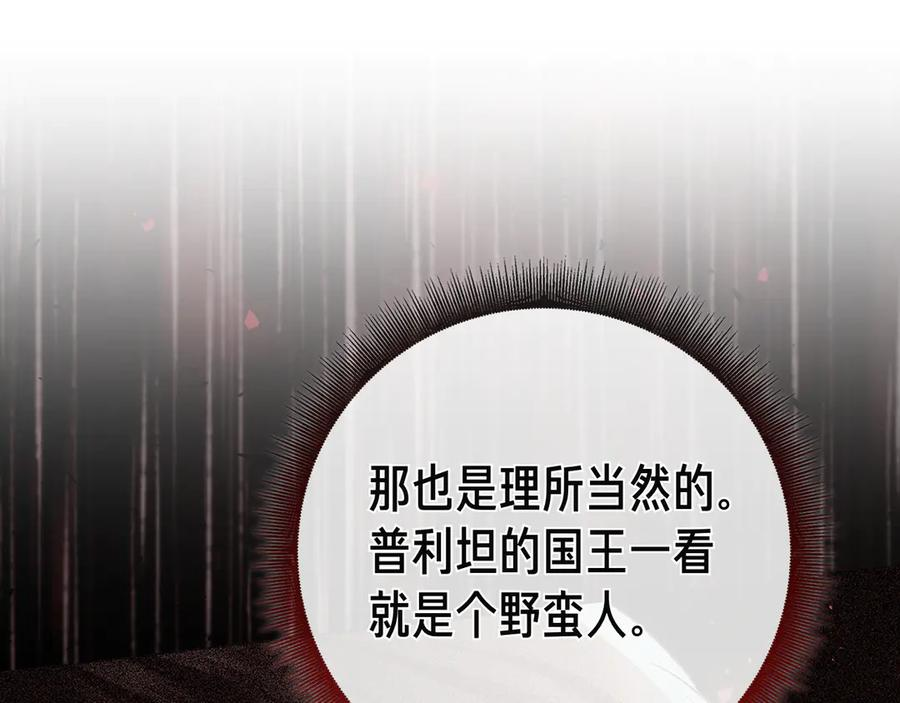 第17话 王妃殿下？ 第263页
