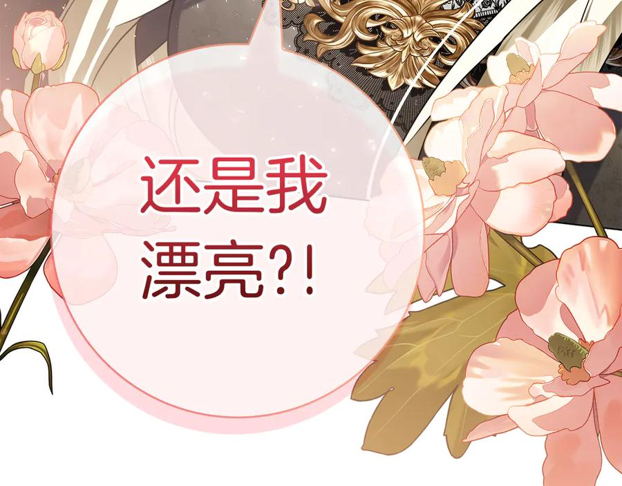 第27话 挑衅 第258页