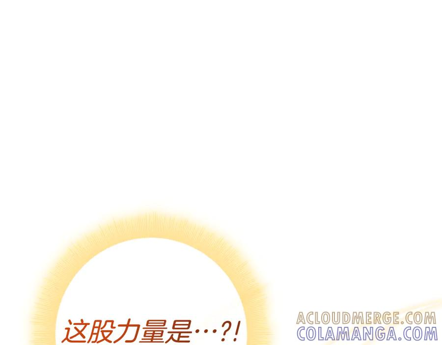 第31话 反击 第217页