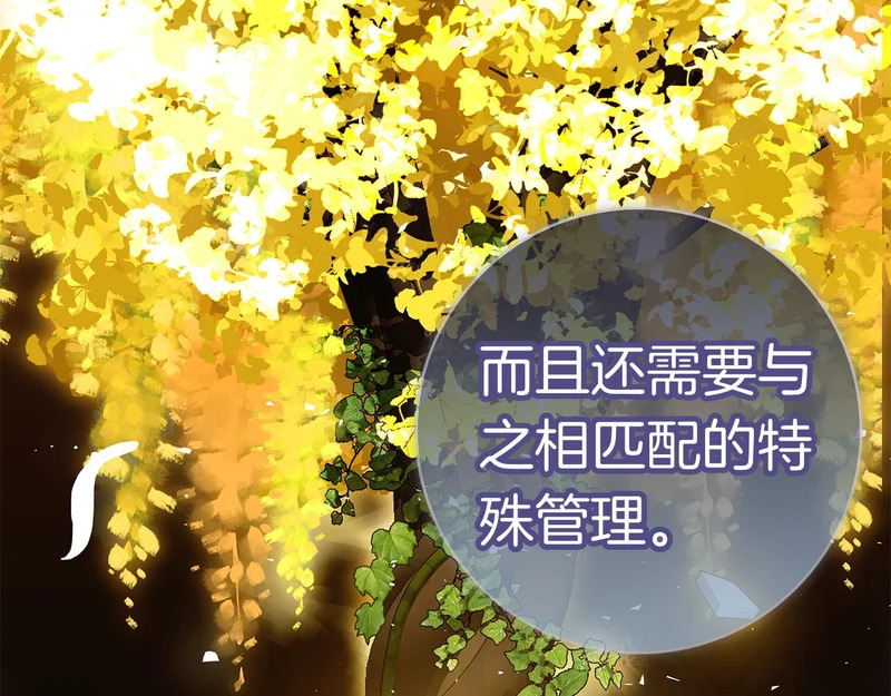 第51话 达成协议 第123页