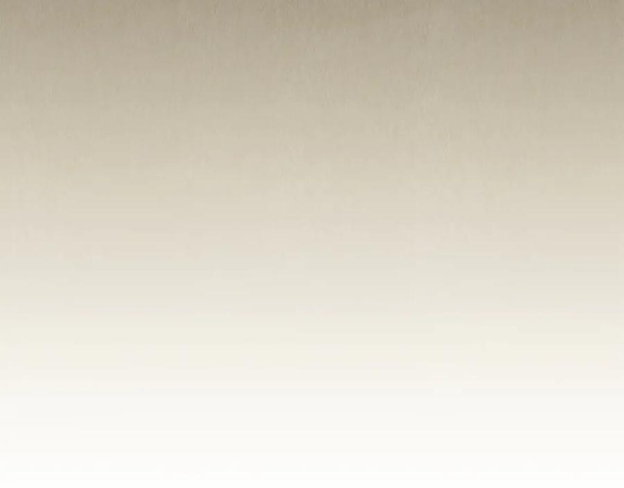 第1话 初到公爵家 第216页