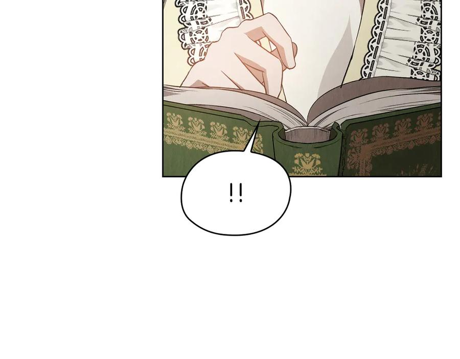第26话 斯万的记录 第46页